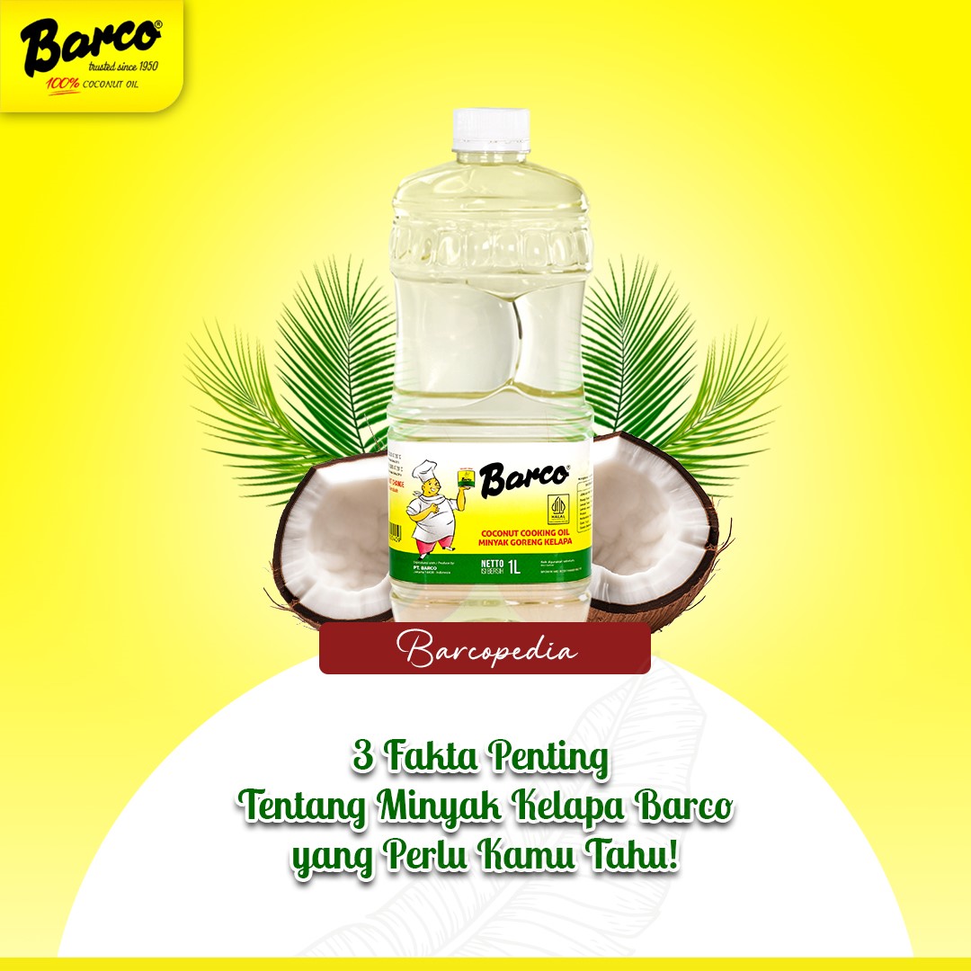 3 Fakta Penting Tentang Minyak Kelapa yang Perlu Kamu Tahu 🥥